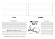 Dachs-Faltbuch-vierseitig-3.pdf